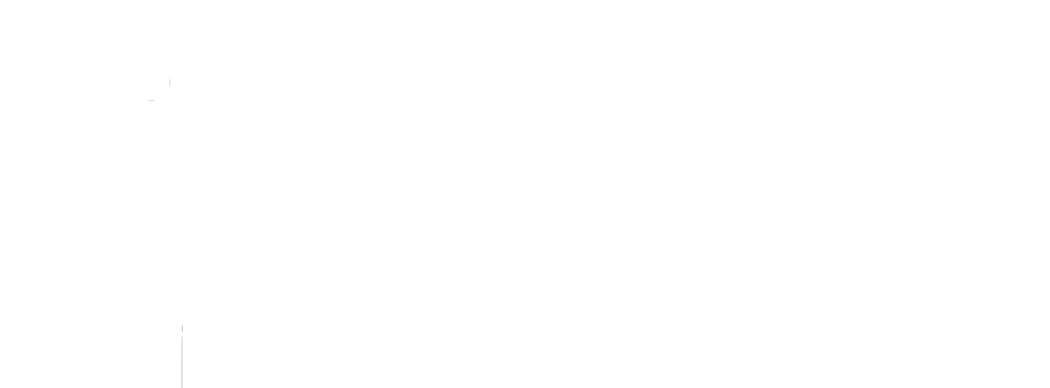 Cerealista Moldes